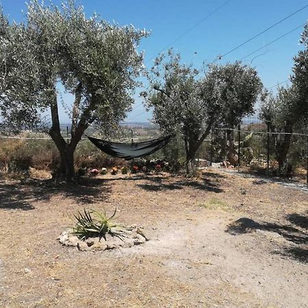 لينتيني Villa Emma Con Panorama Etna A 10 Minuti Dal Mare المظهر الخارجي الصورة
